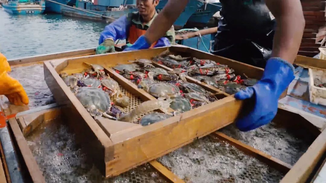 1609064796707987.jpg 6.jpg