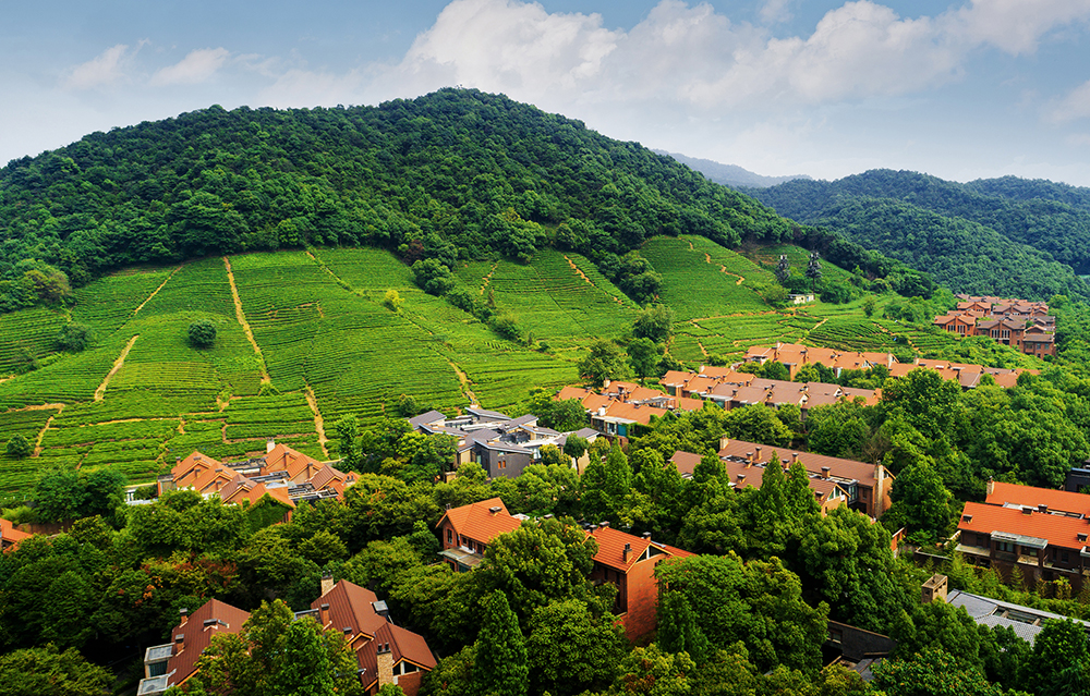 1663827881908555.jpg 大盤1.jpg